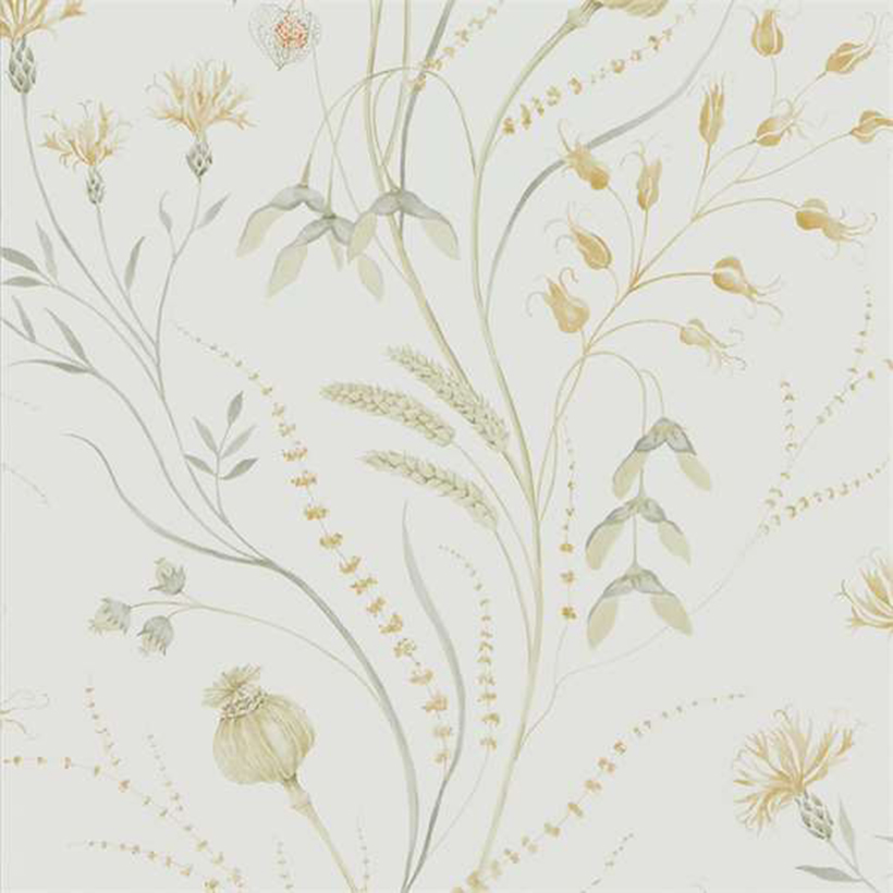 SUMMER HARVEST SILVER CORN