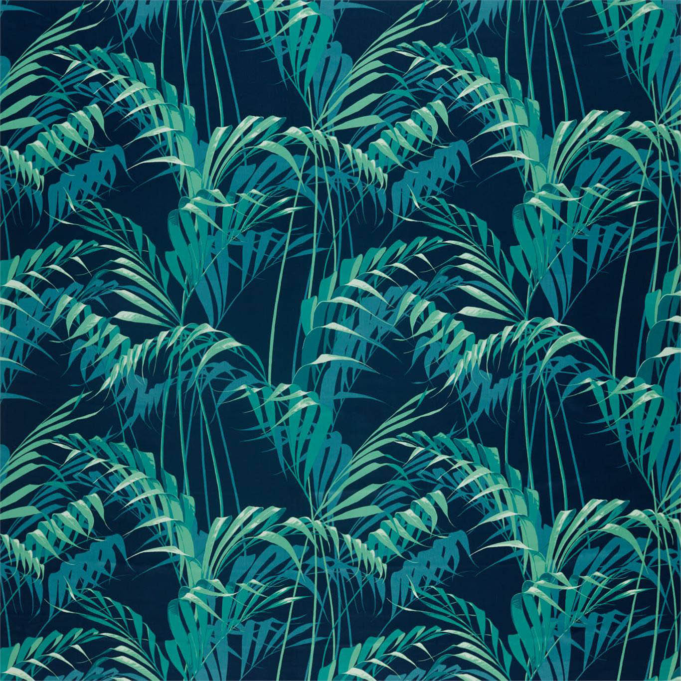PALM HOUSE