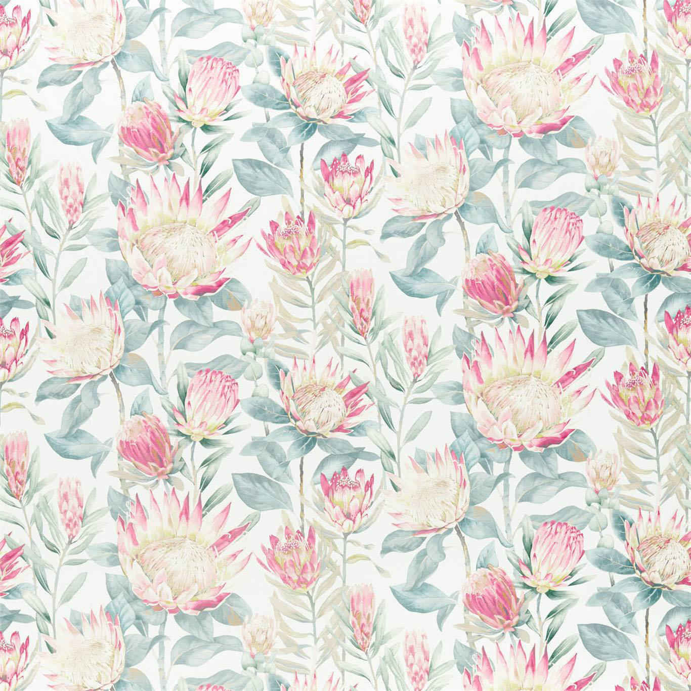 KING PROTEA