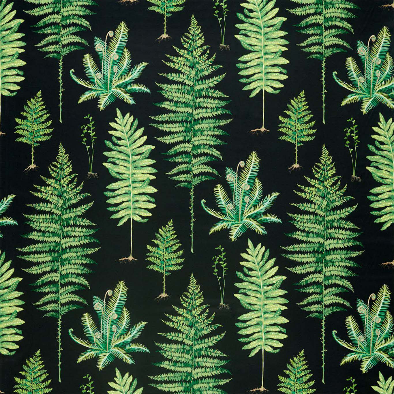 FERNERY