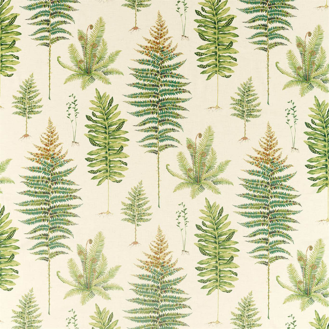 FERNERY