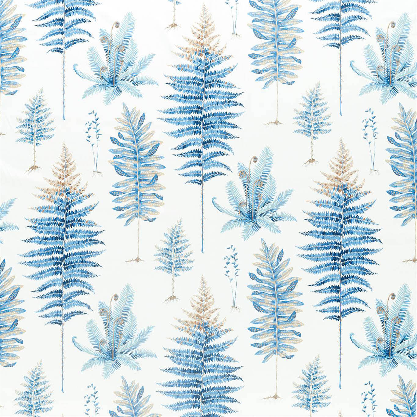 FERNERY