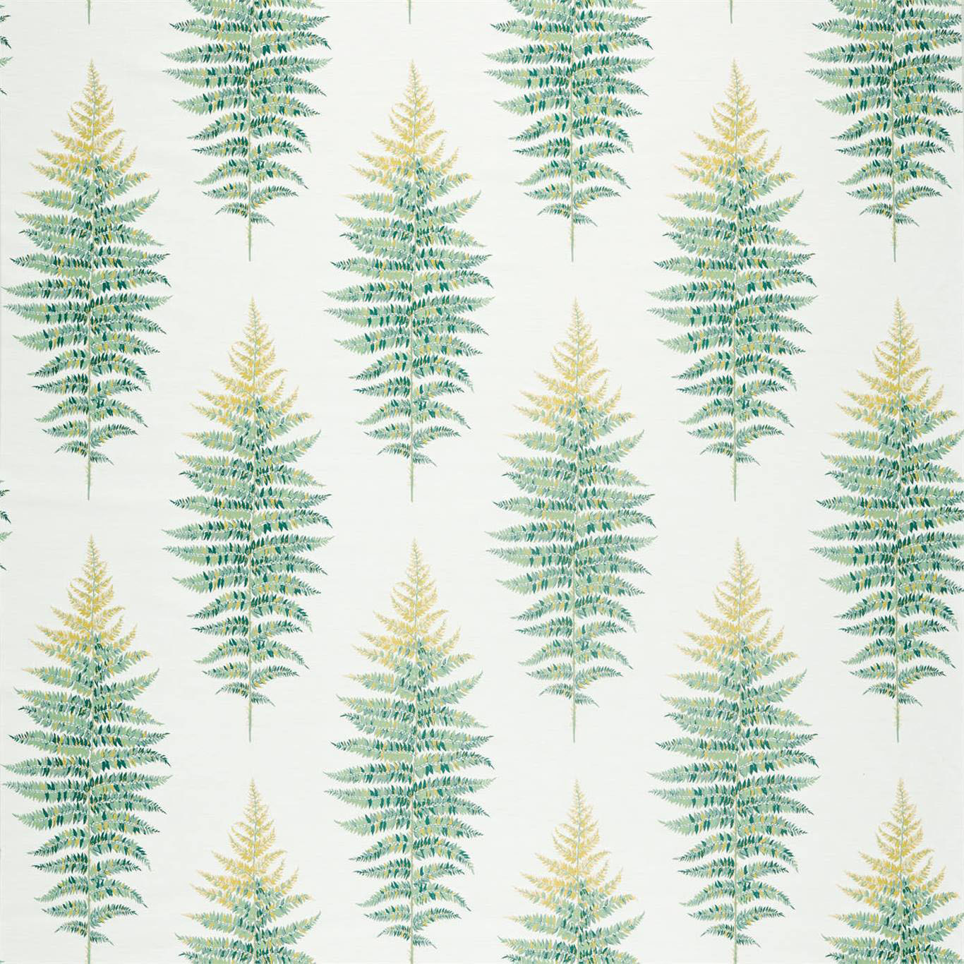 FERNERY WEAVE