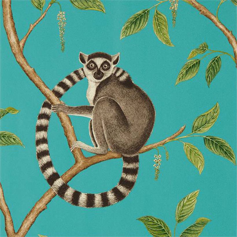 RINGTAILED LEMUR
