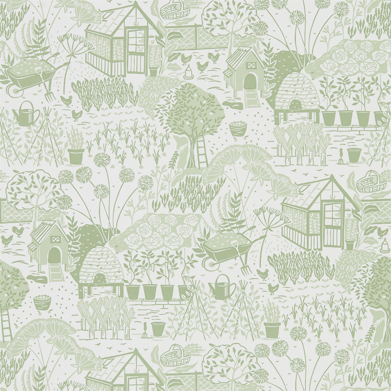 THE ALLOTMENT