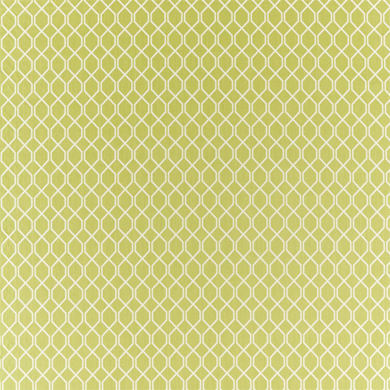 BOTANIC TRELLIS