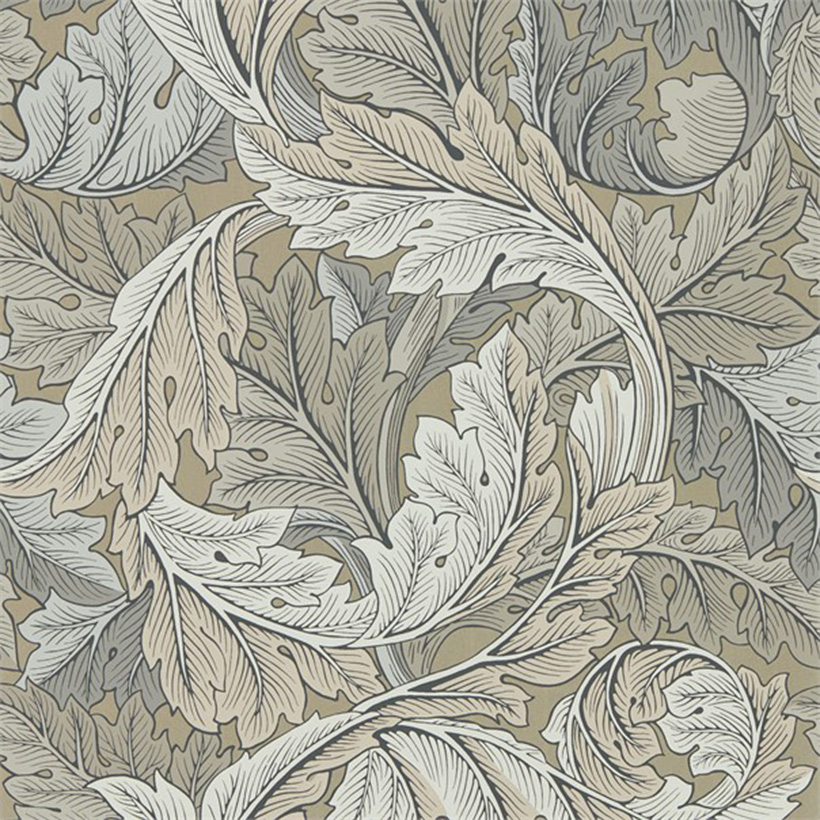 ACANTHUS