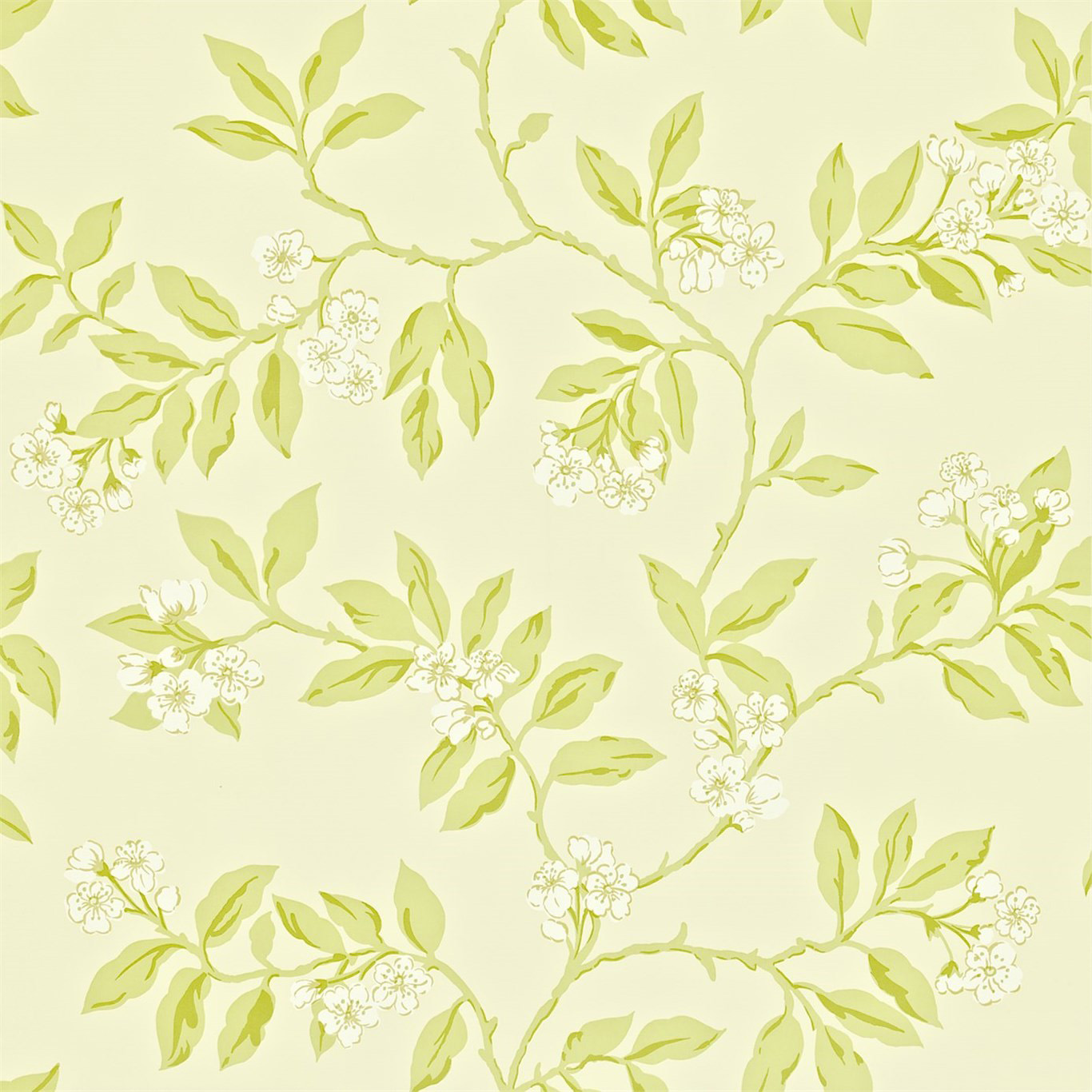 BLOSSOM BOUGH