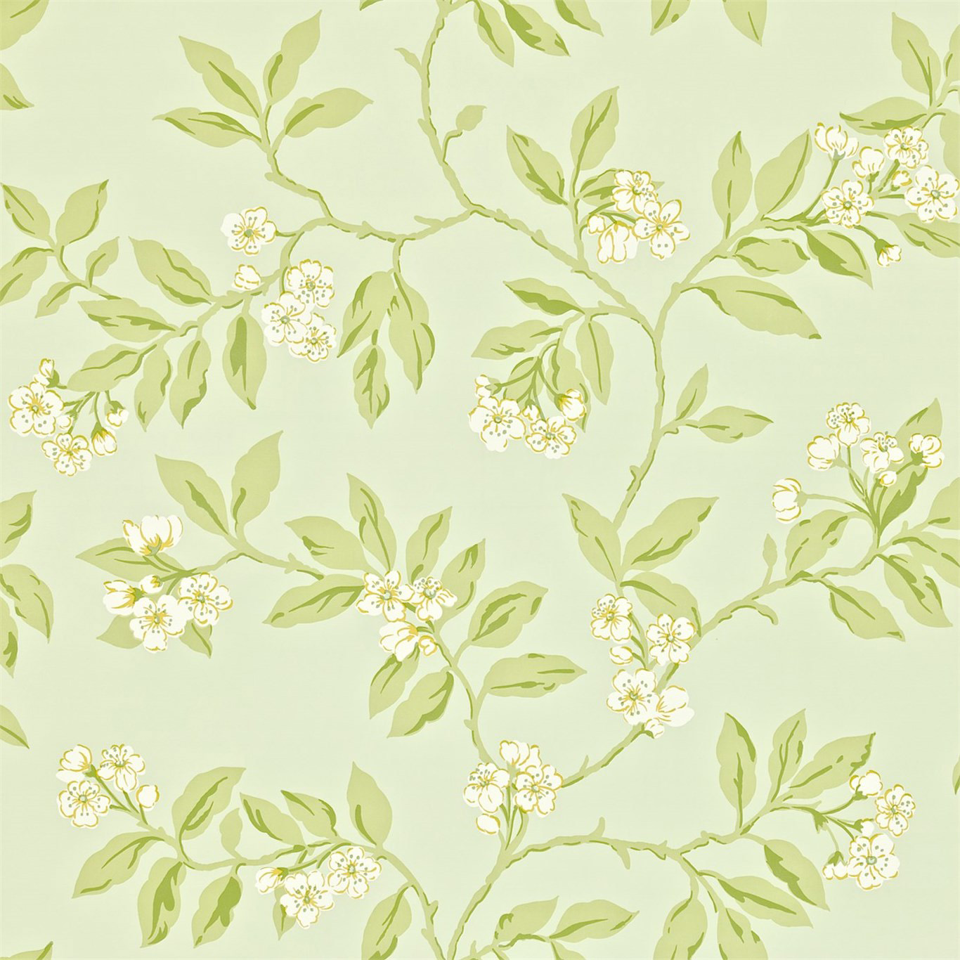 BLOSSOM BOUGH