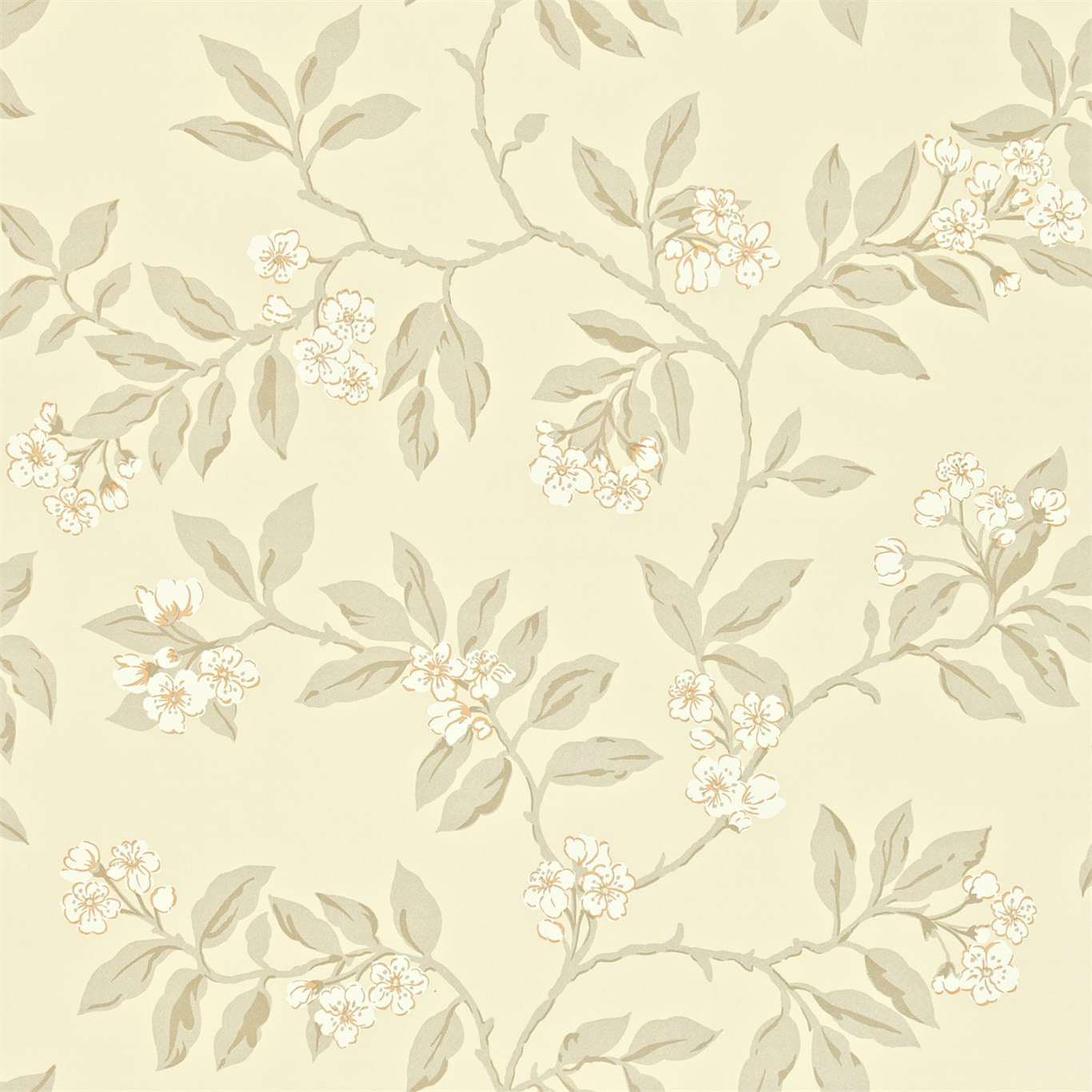 BLOSSOM BOUGH