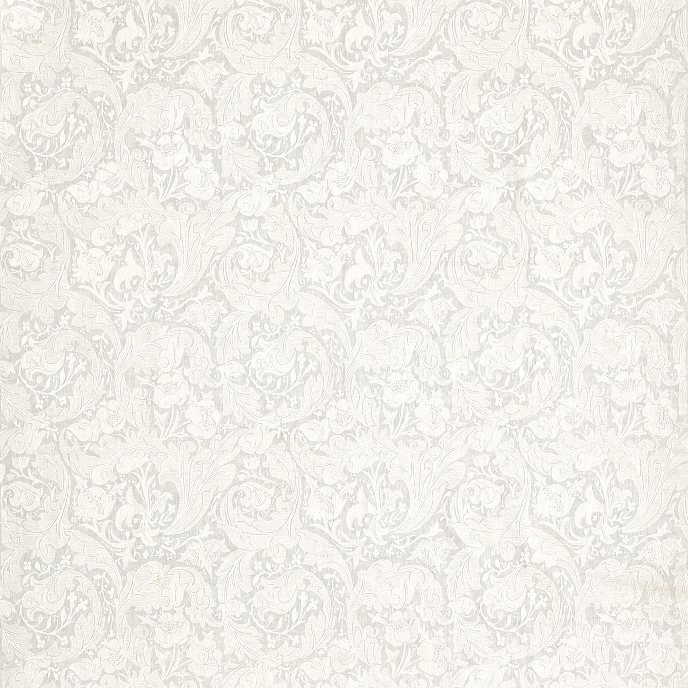 PURE BACHELORS BUTTON EMBROIDERY