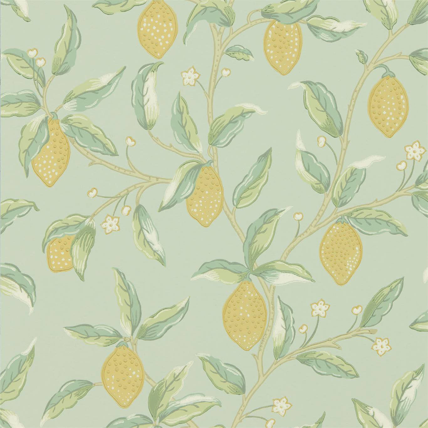 LEMON TREE