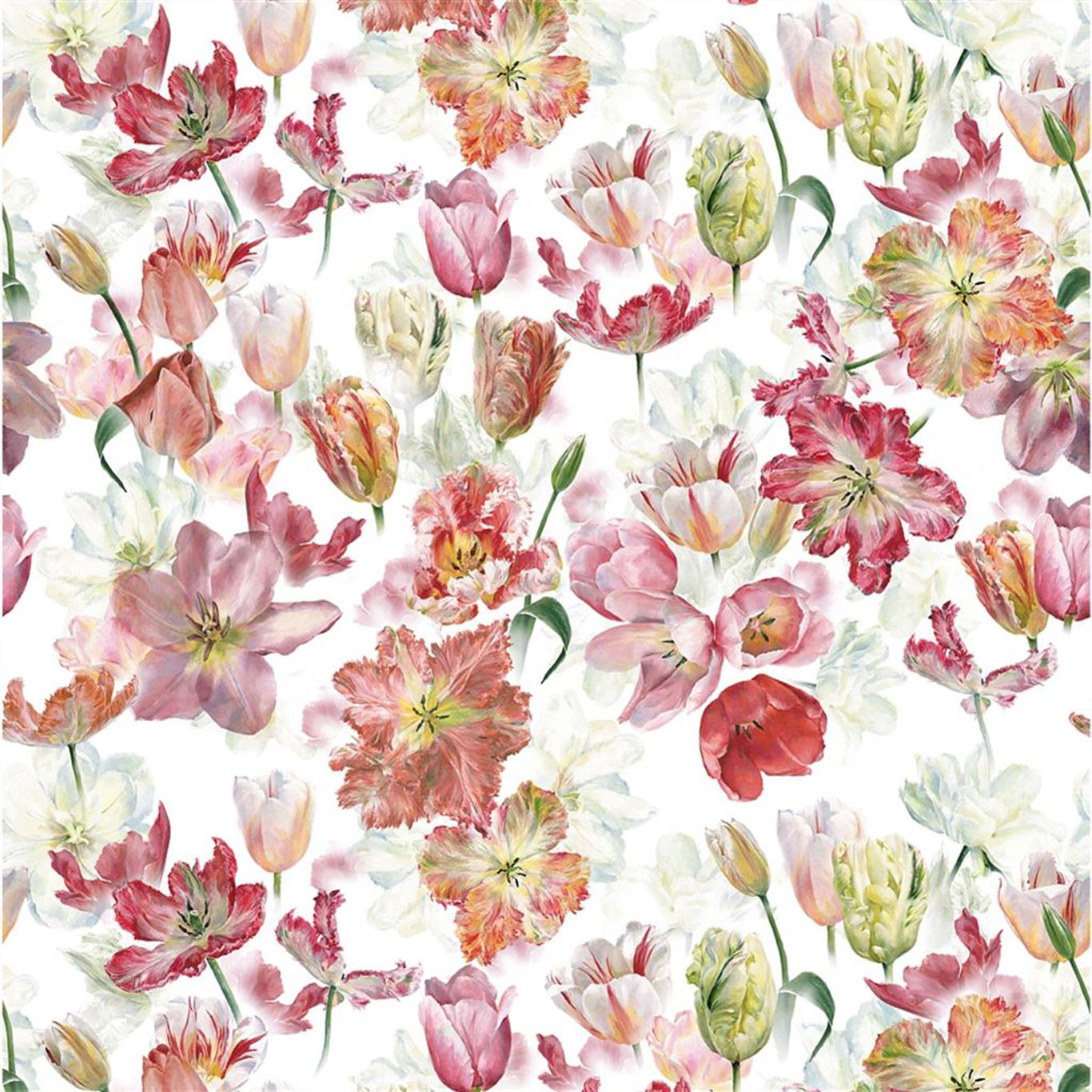 TULIP GARDEN