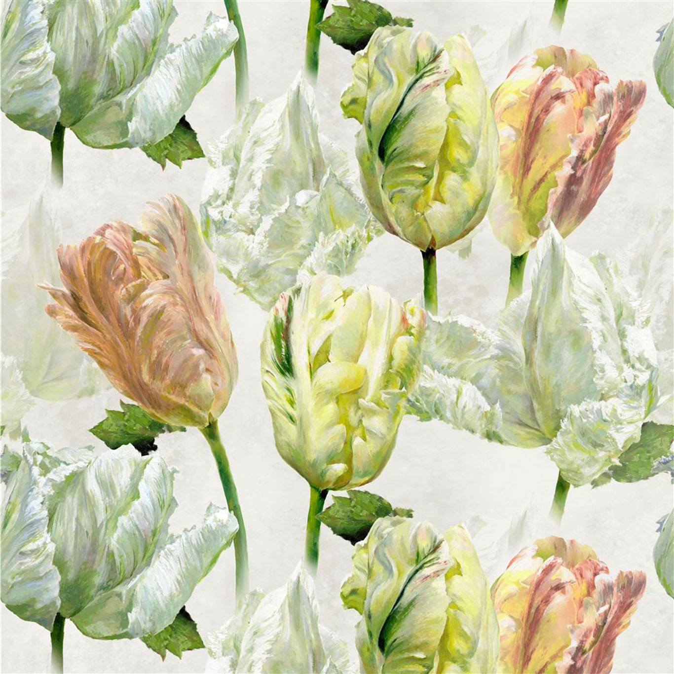SPRING TULIP