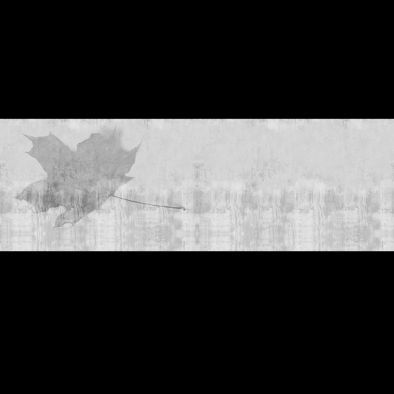FOLIUM