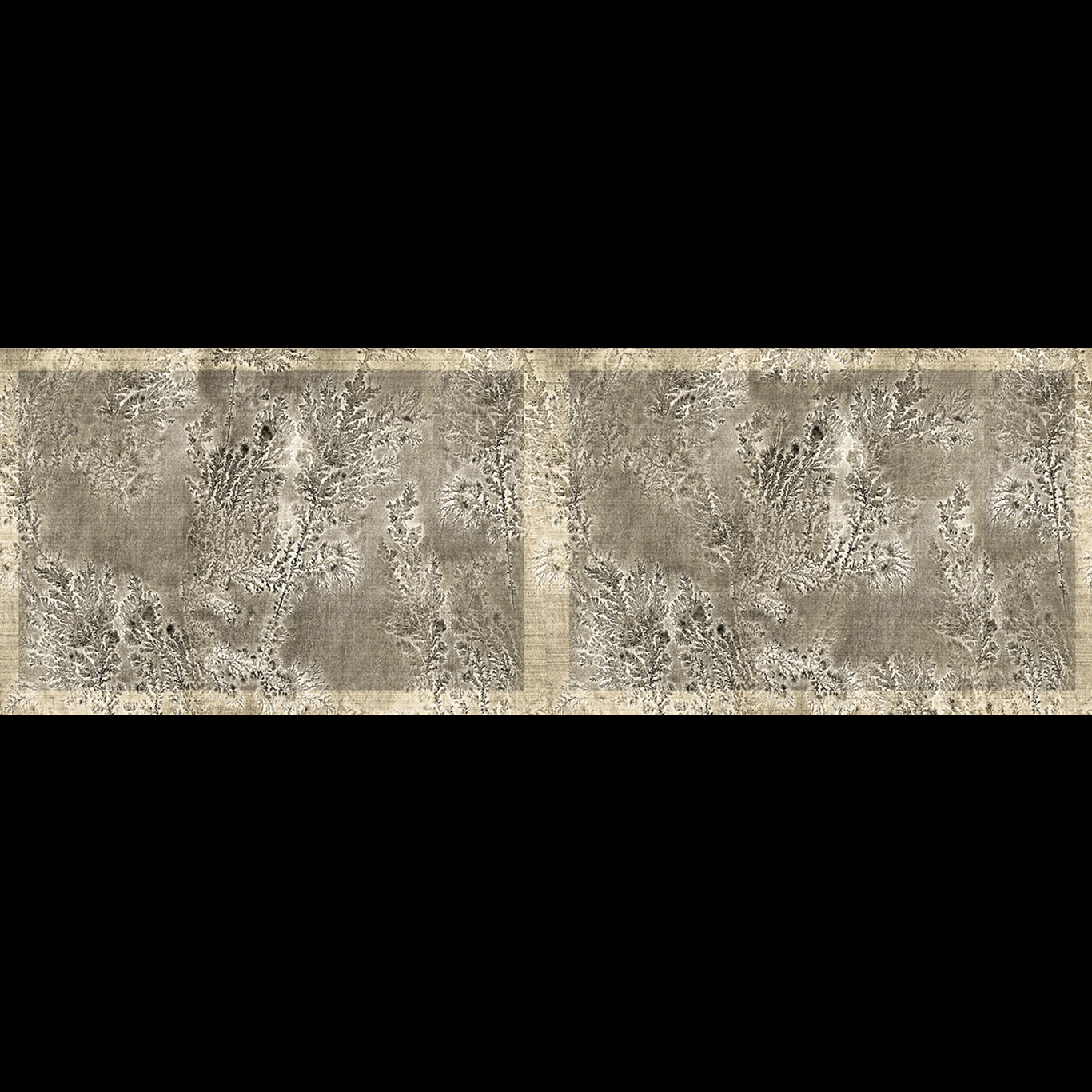 OCTOCORALLIA