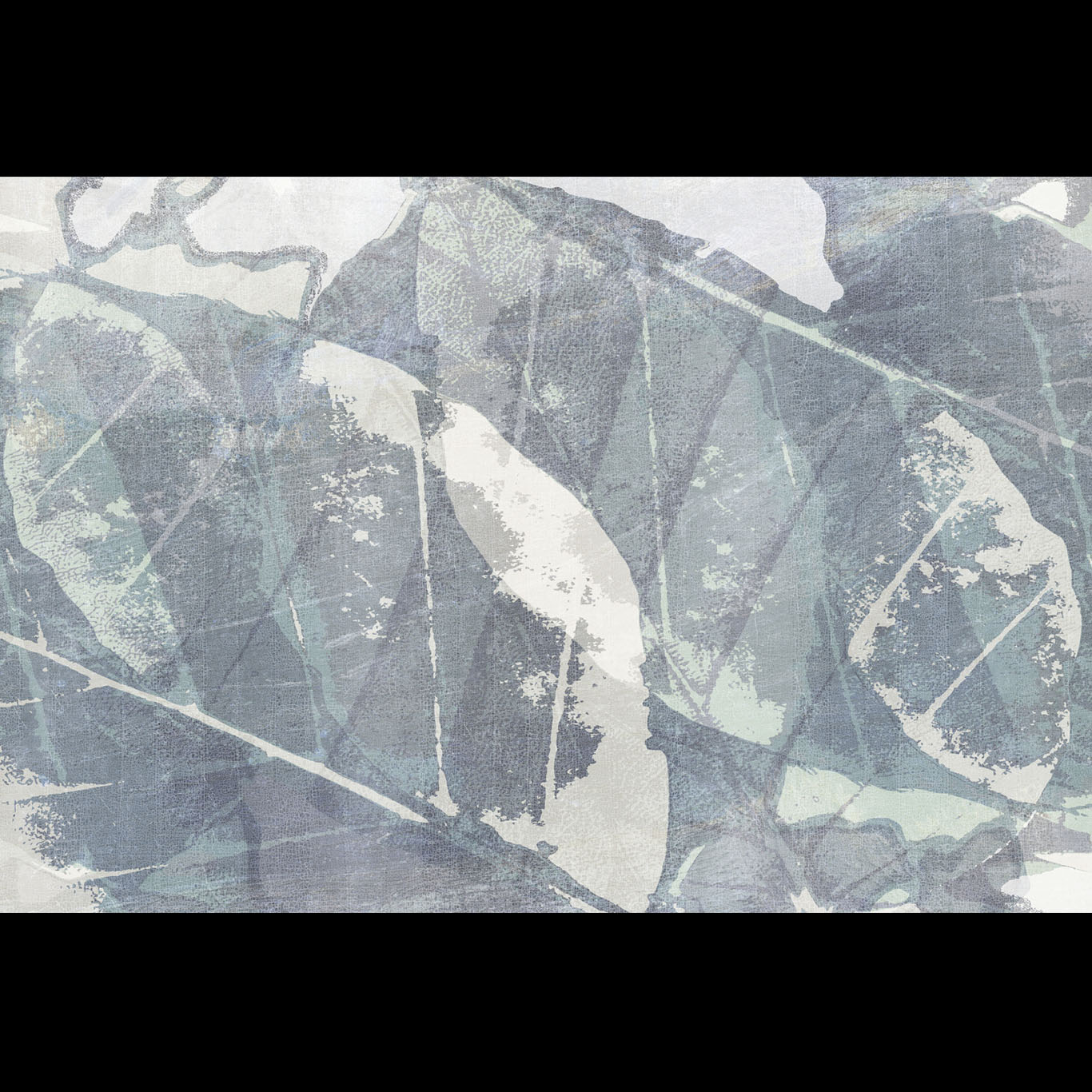 SALIX