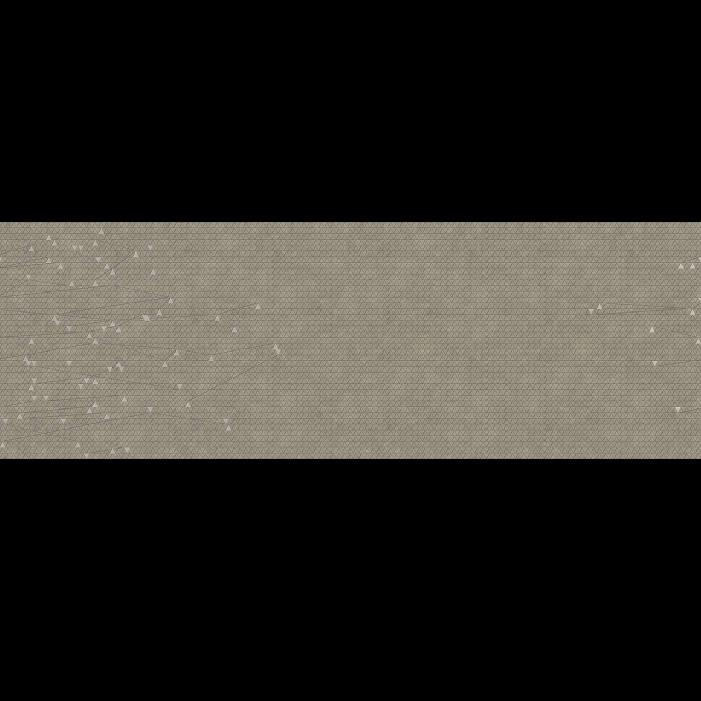ASTEROIDS