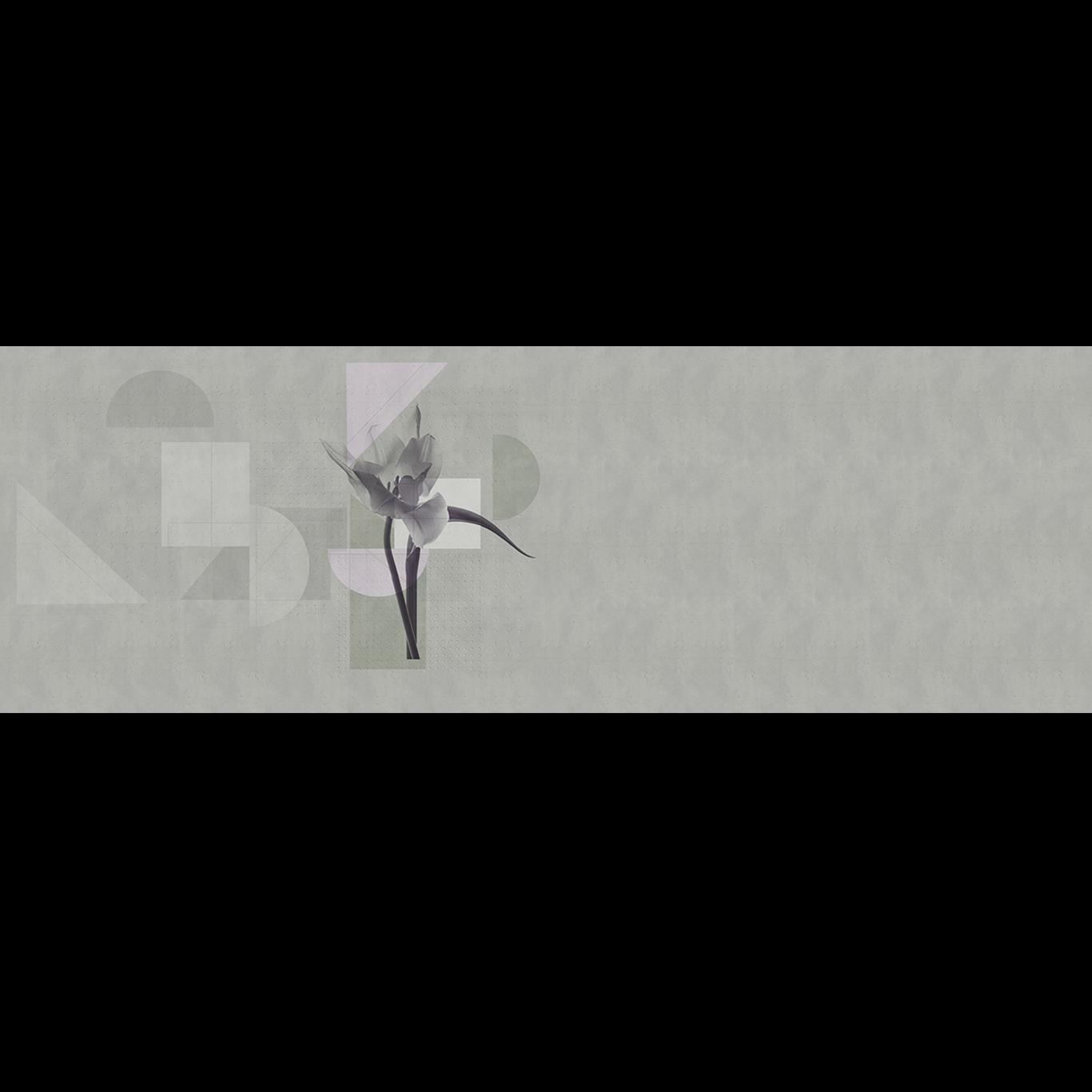 POLIEDRIC