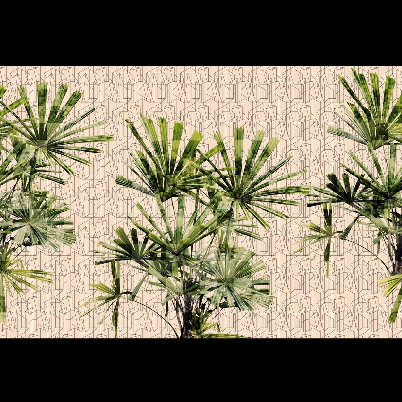 CUBIC PLANT