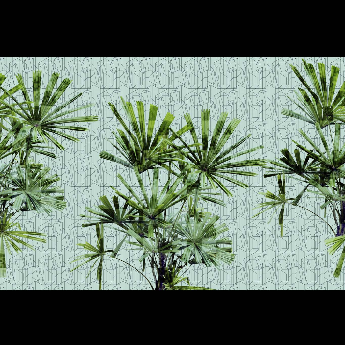 CUBIC PLANT