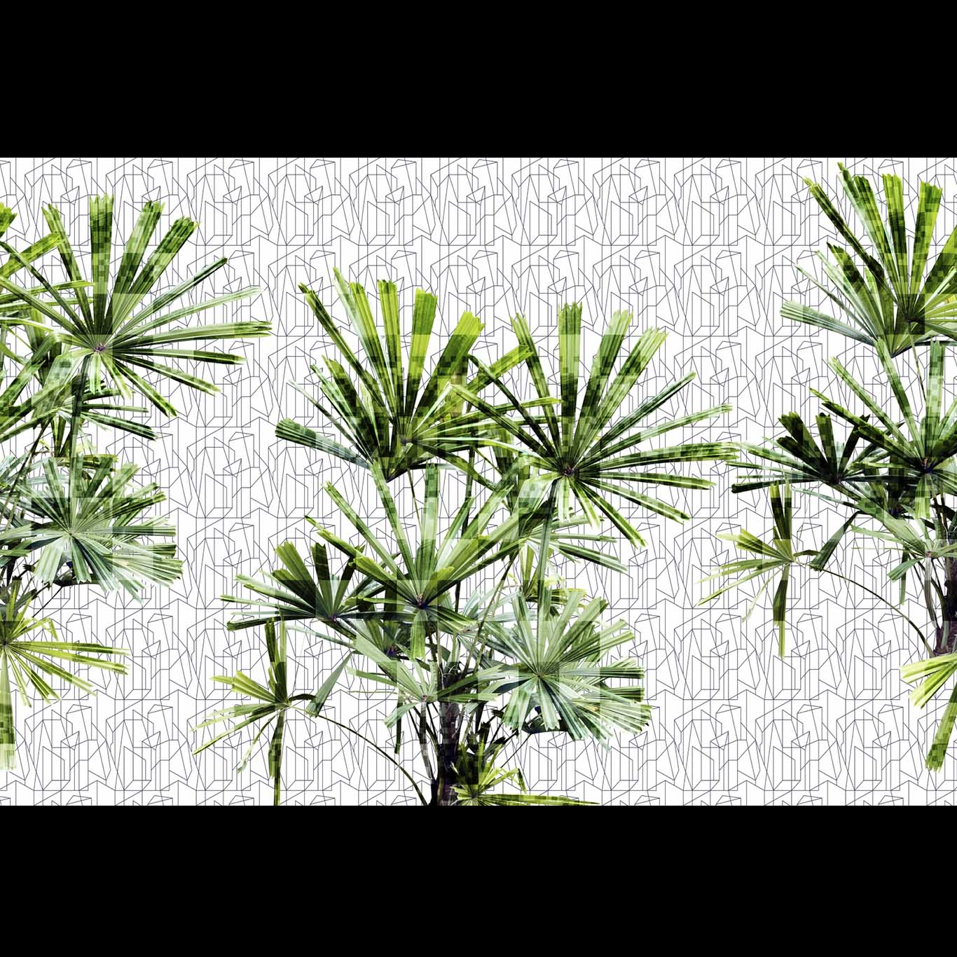 CUBIC PLANT