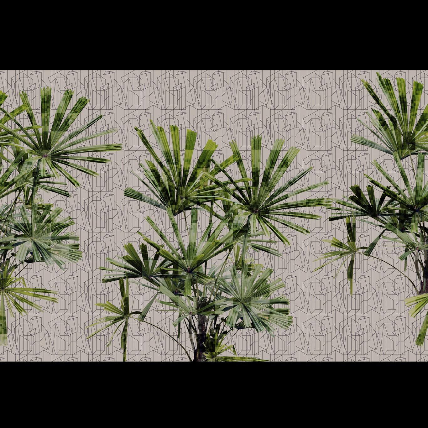 CUBIC PLANT