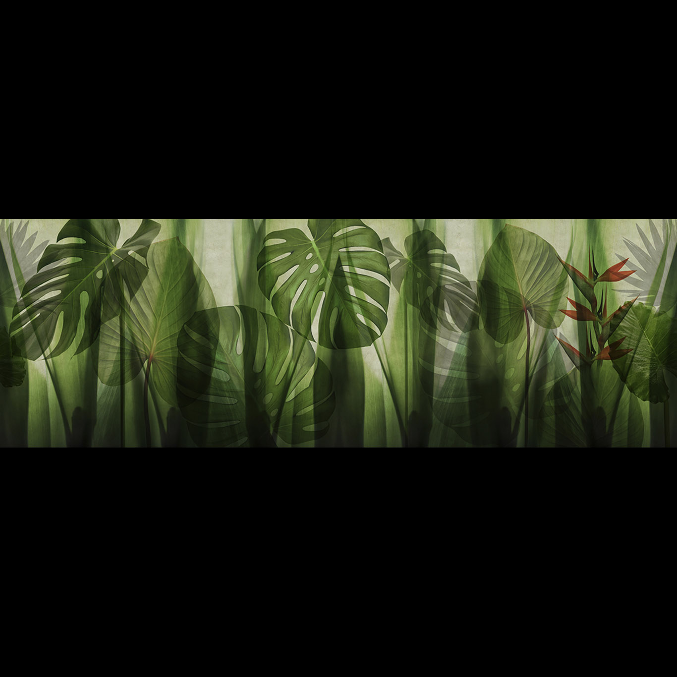 EQUATORIAL JUNGLE