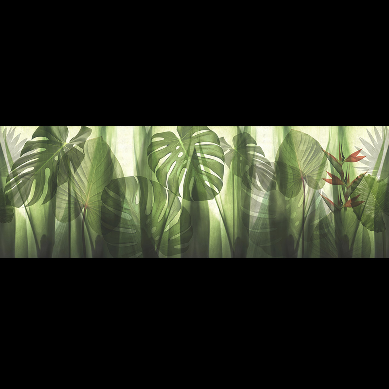 EQUATORIAL JUNGLE