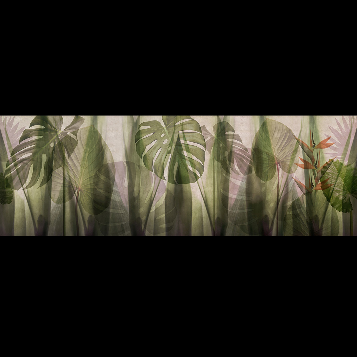 EQUATORIAL JUNGLE