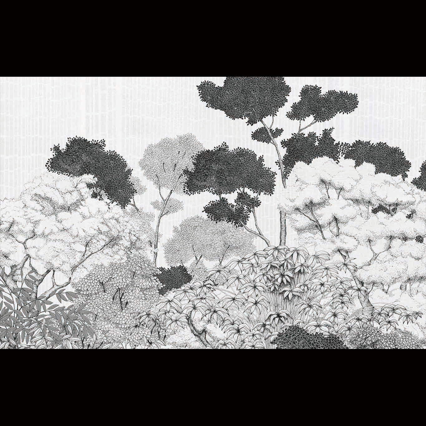KYOTO