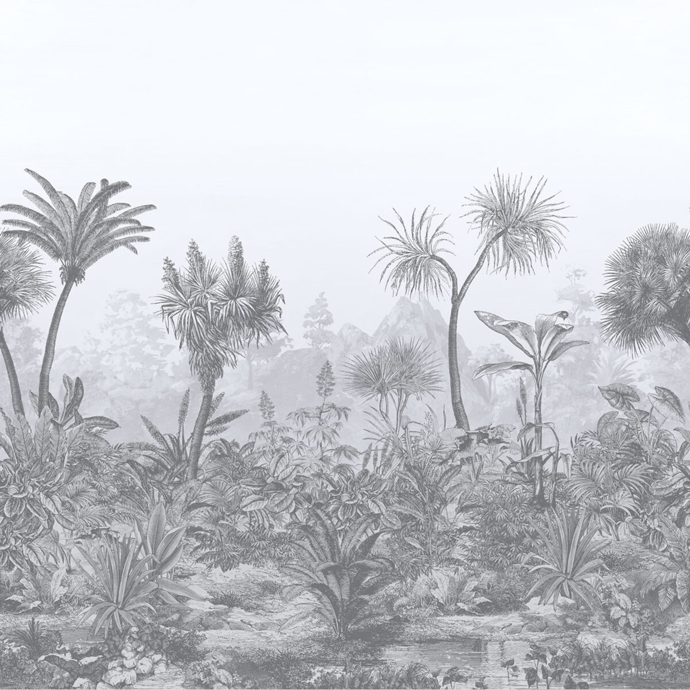 CEYLON