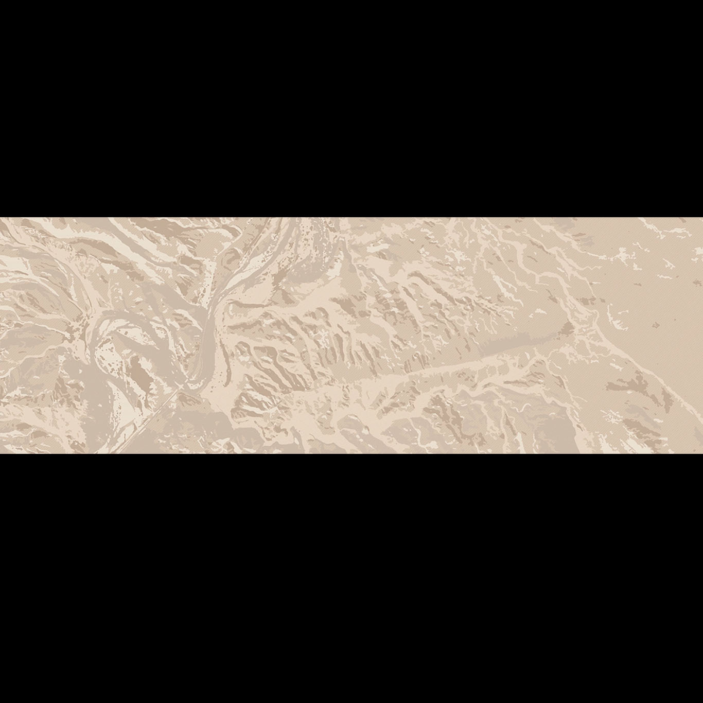 DESERT DRONE