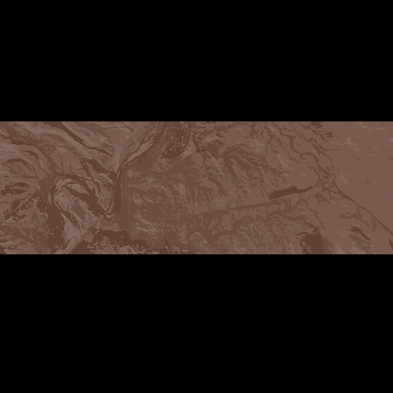 DESERT DRONE