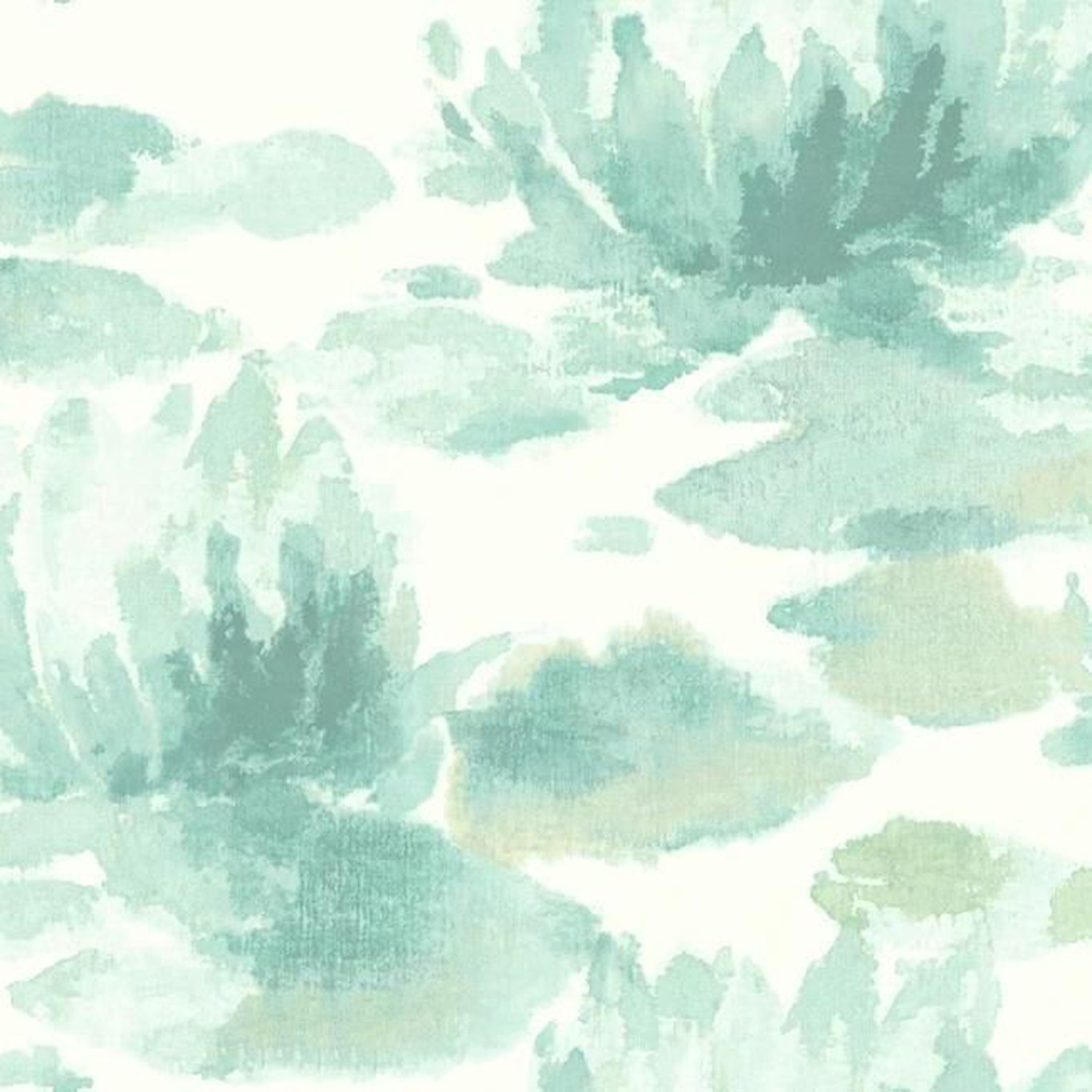 Water Lily
