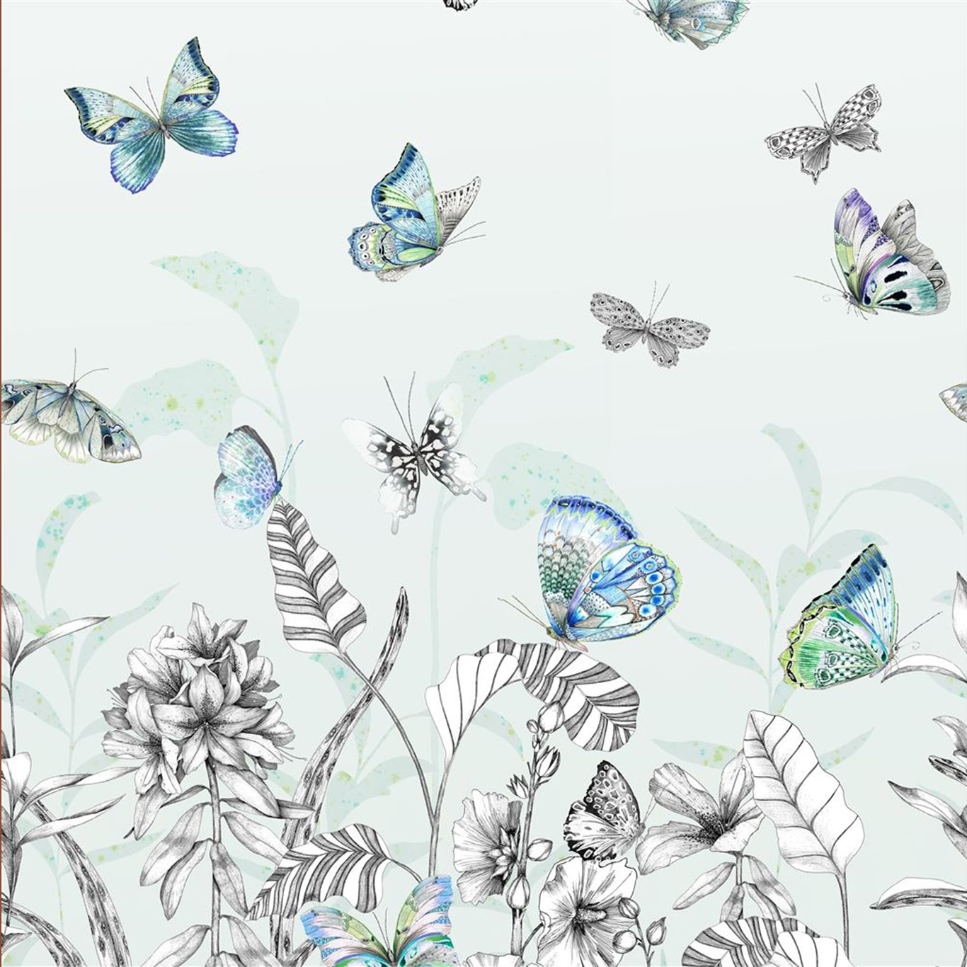 PAPILLONS
