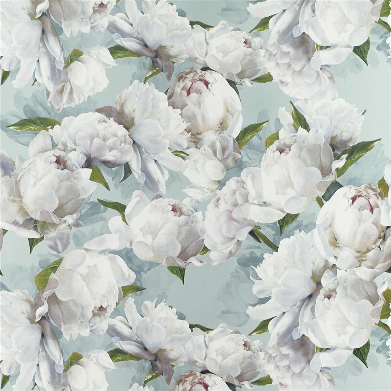 PEONIA