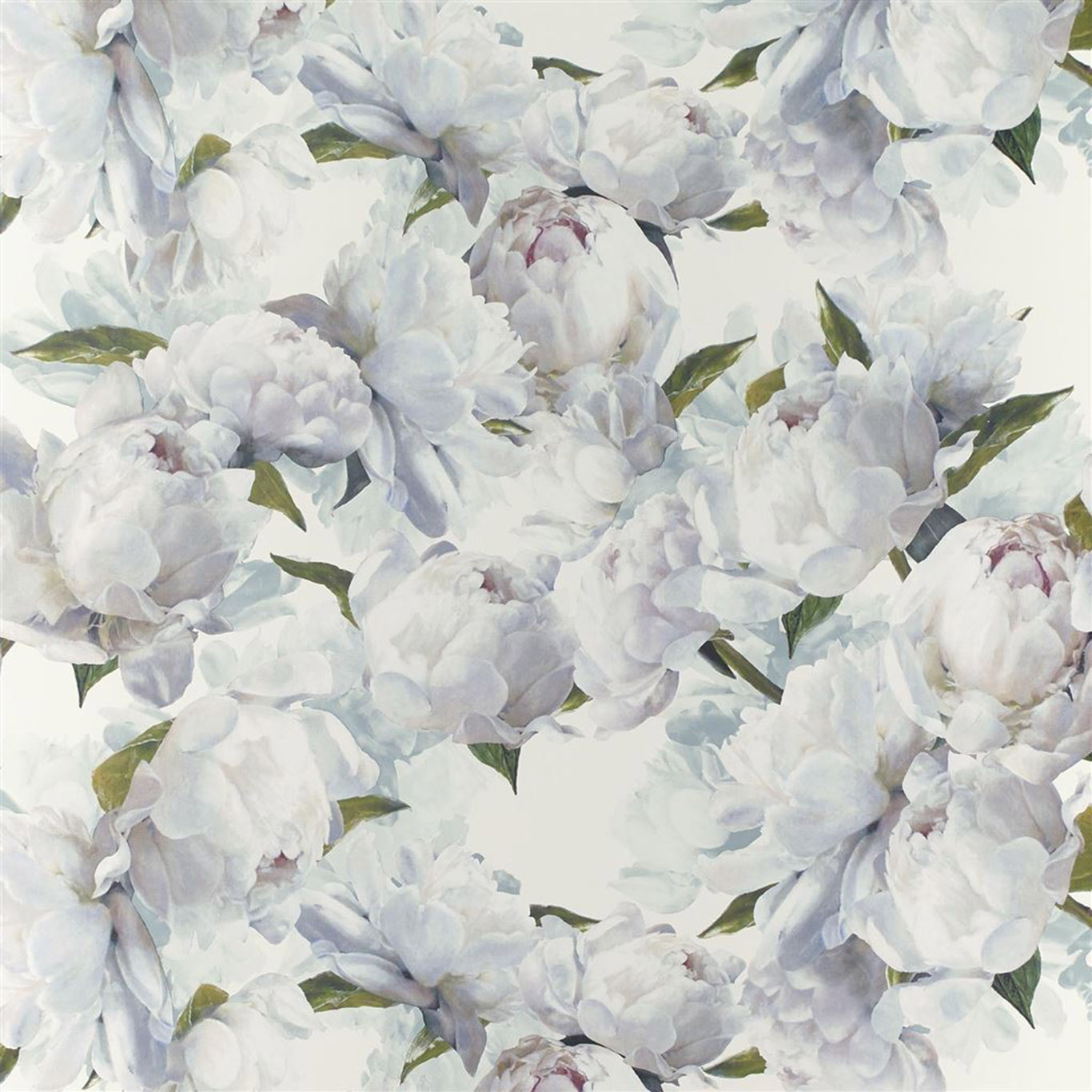 PEONIA