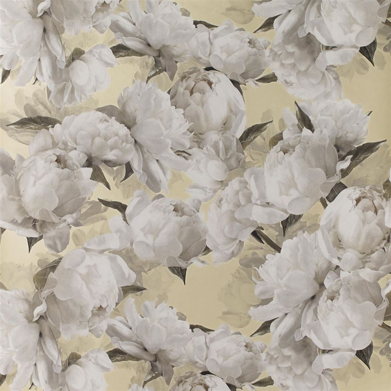 PEONIA