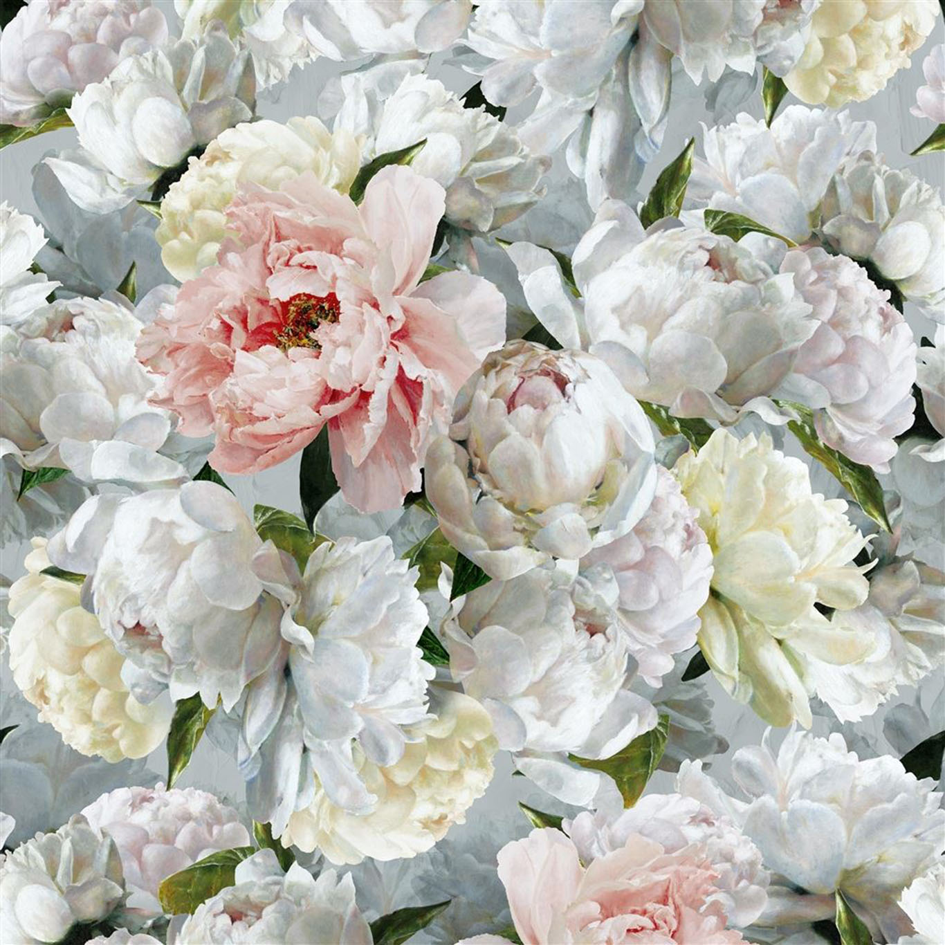PEONIA GRANDE