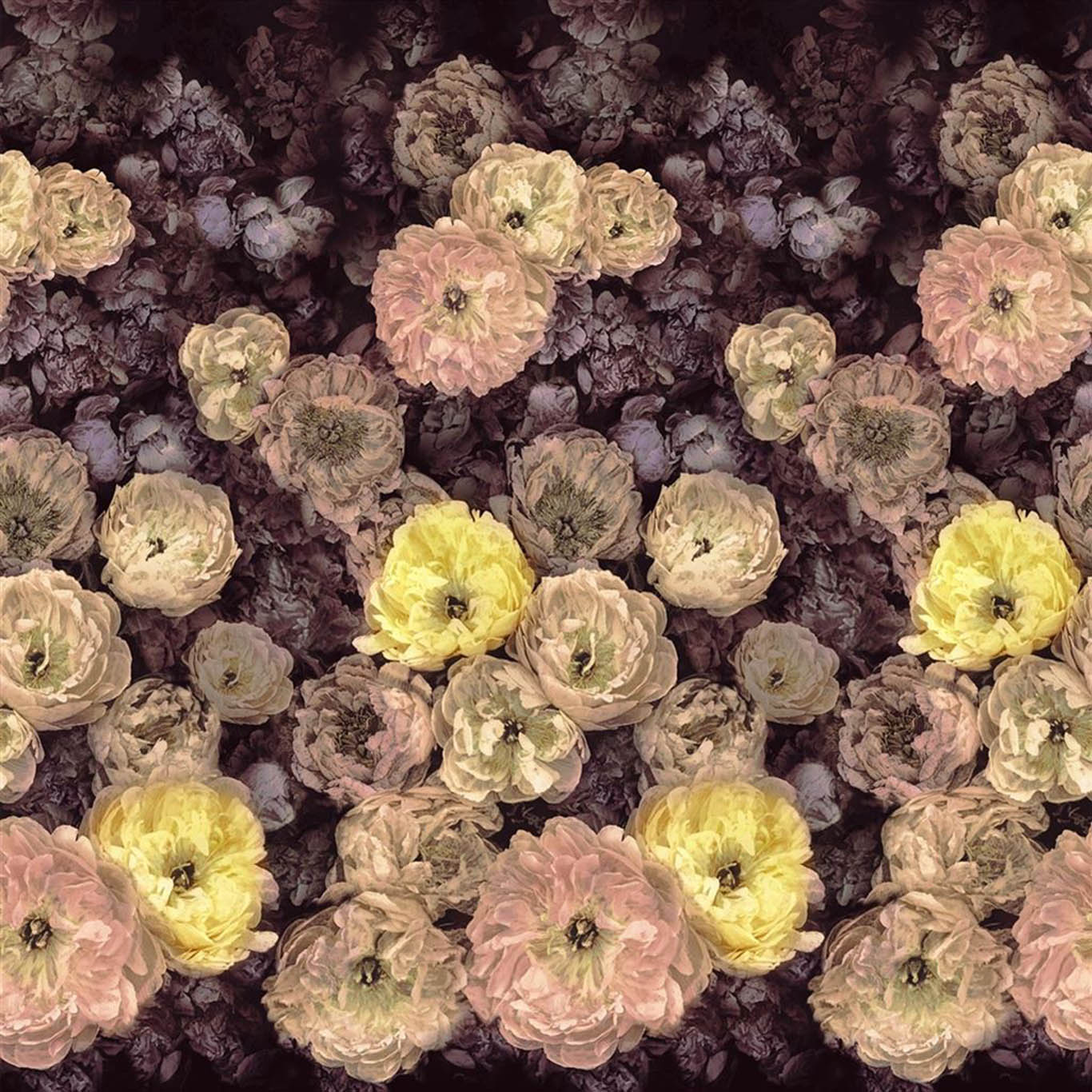 LE POEME DE FLEURS