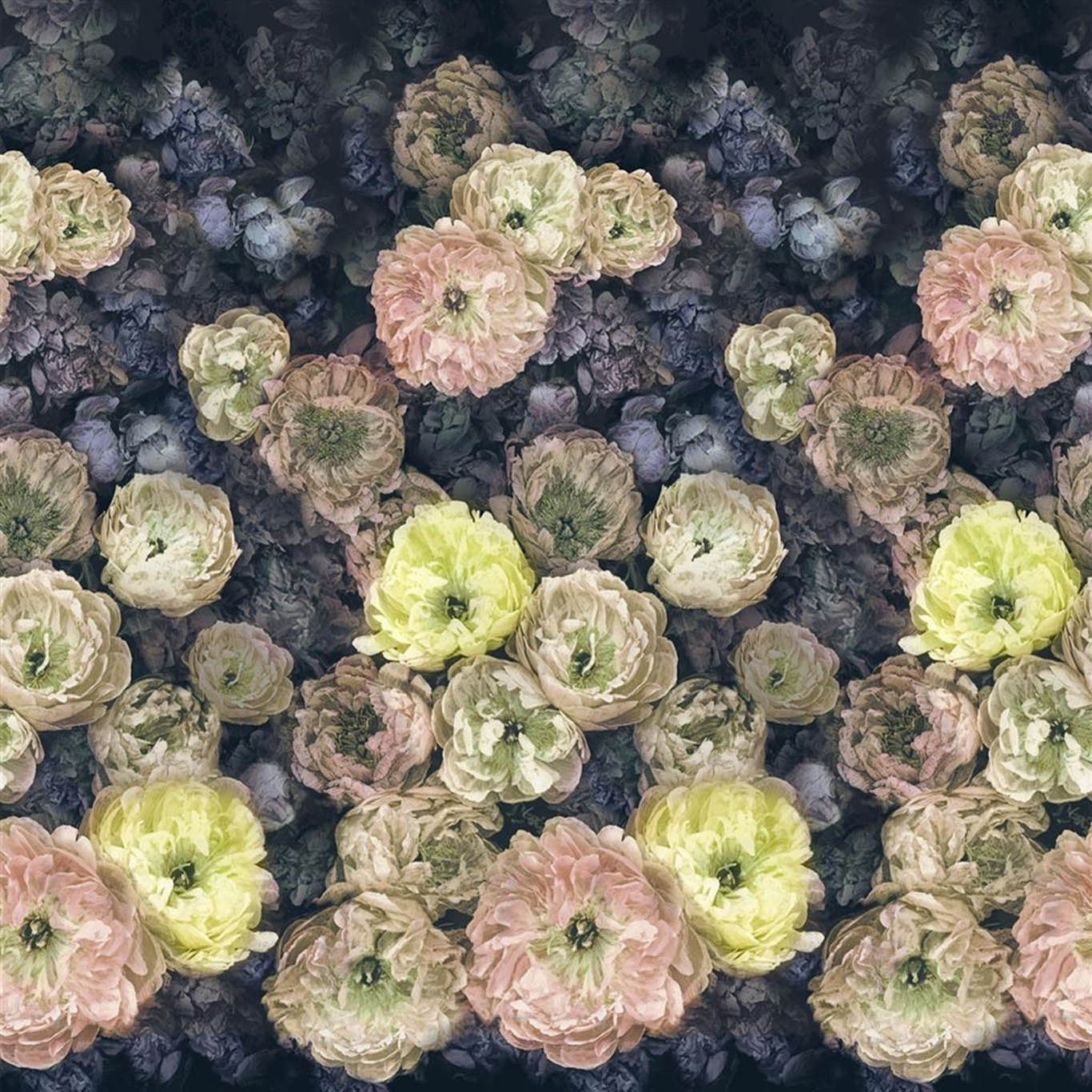 LE POEME DE FLEURS