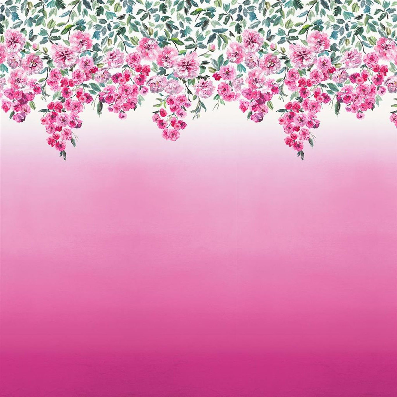 TRAILING ROSE