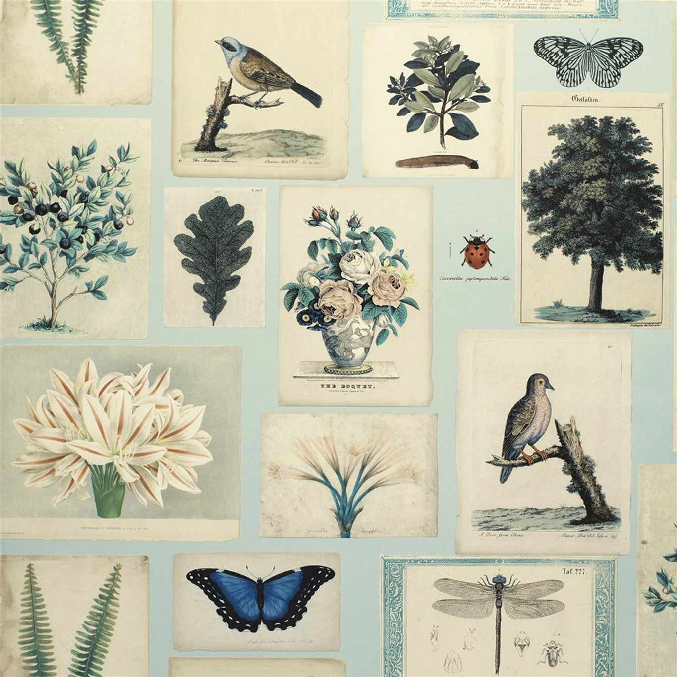 FLORA AND FAUNA