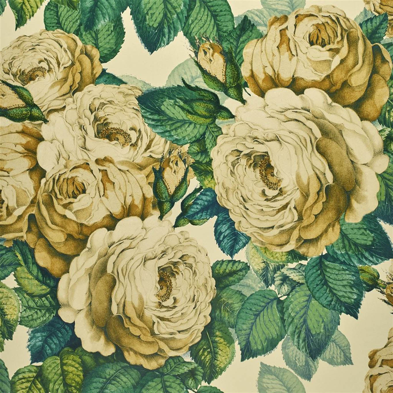 THE ROSE