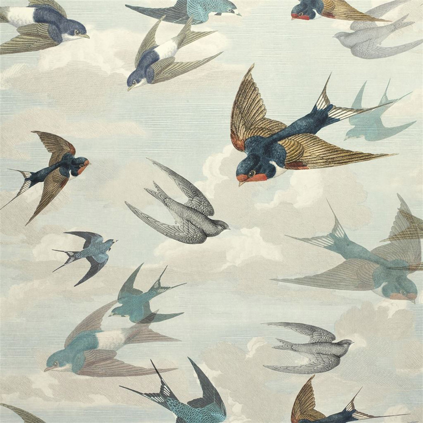 CHIMNEY SWALLOWS