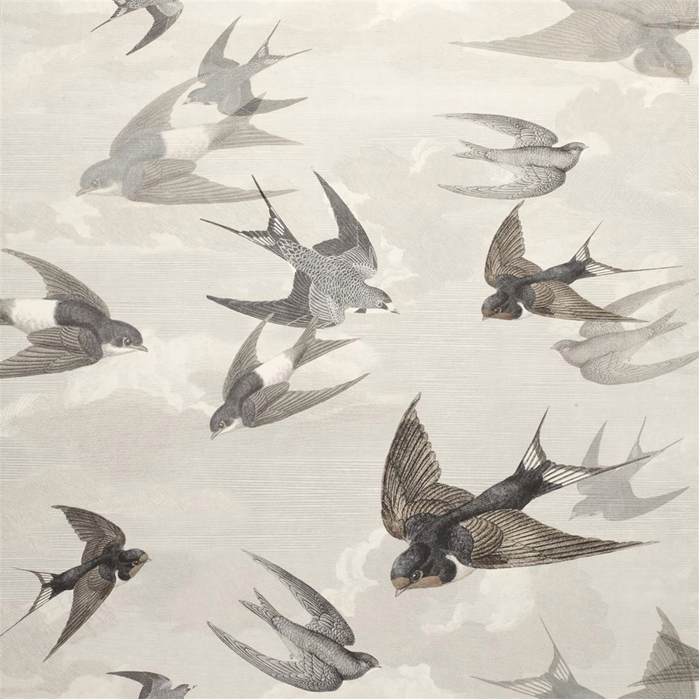 CHIMNEY SWALLOWS