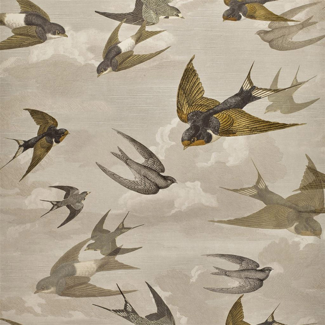 CHIMNEY SWALLOWS