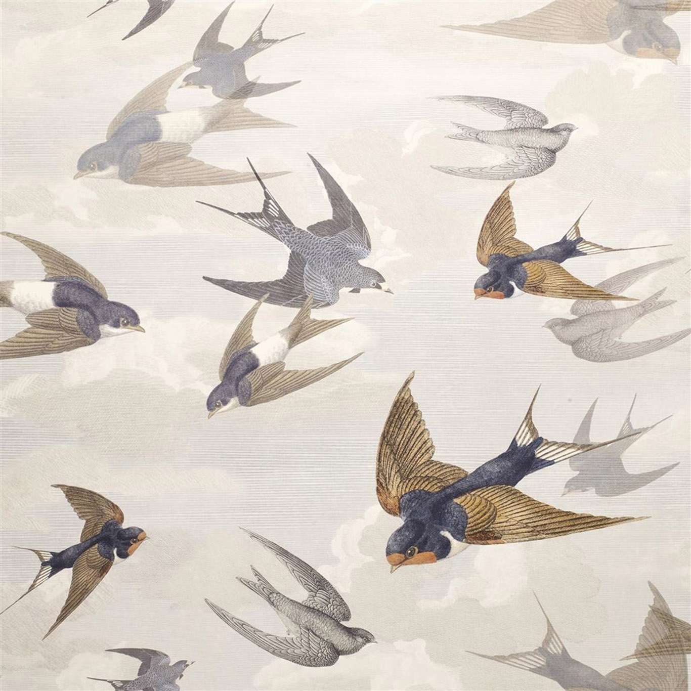 CHIMNEY SWALLOWS