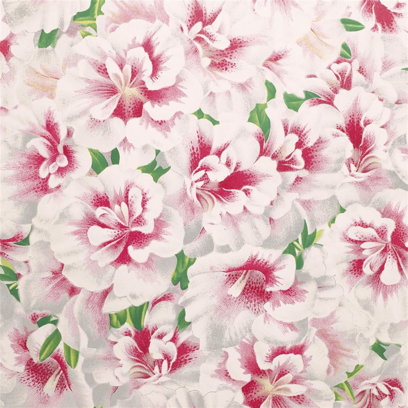 VARIEGATED AZALEA